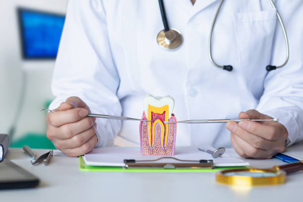 Professional Emergency Dentist in AL